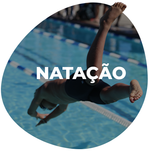 Natação